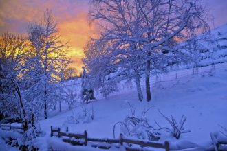 Neige
