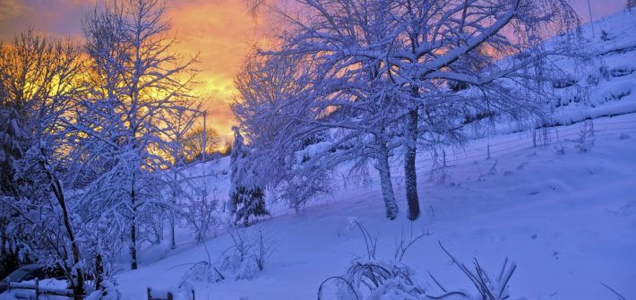 Neige