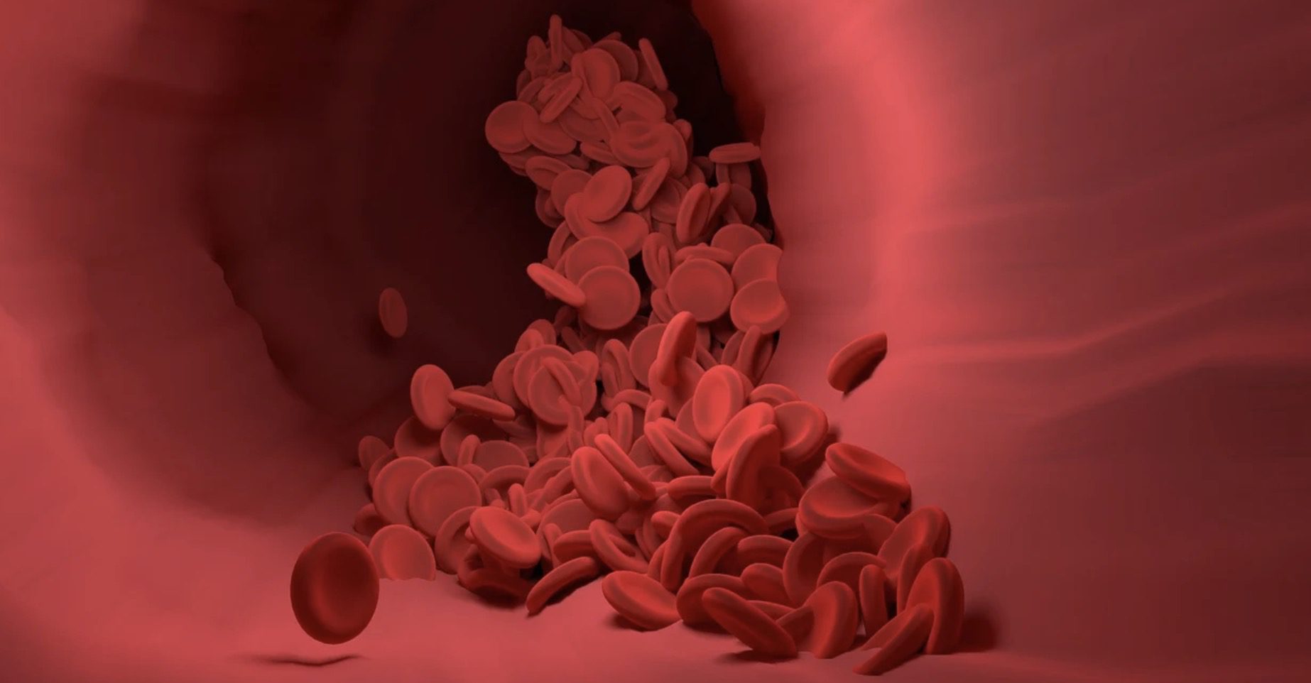 Globules rouges : une définition précise avec la fonction et la structure