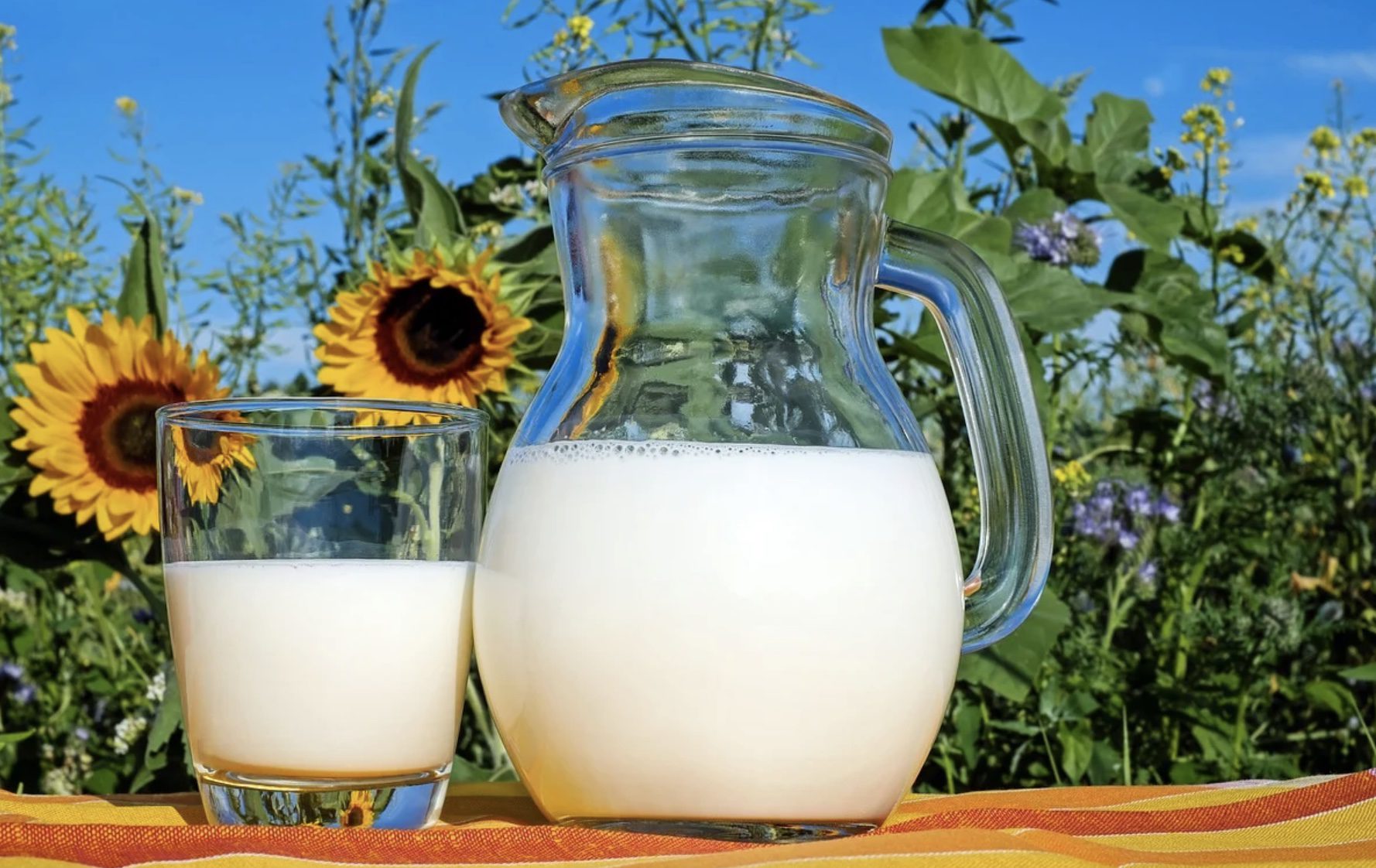 Des compléments alimentaires pour éviter les symptômes de l’intolérance au lactose
