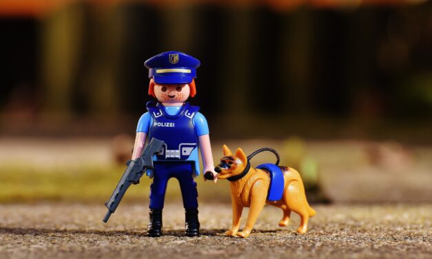 Playmobil policiers, le meilleur cadeau pour les enfants