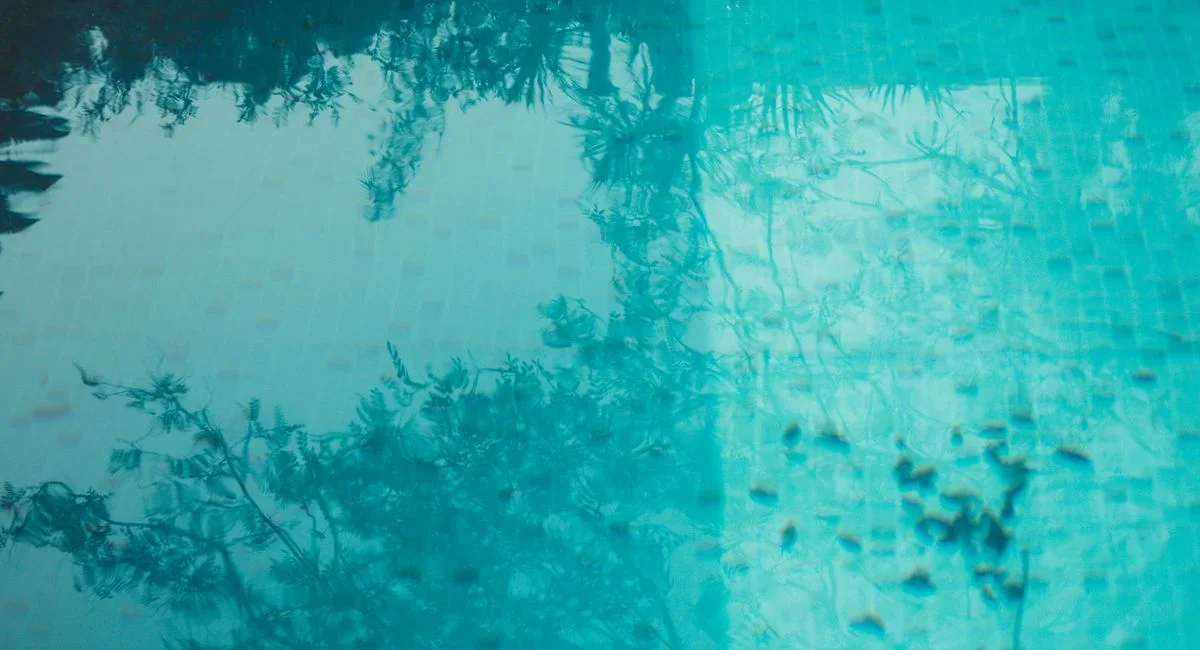 Eau de piscine trouble avec reflets verts sous soleil d’été et skimmer visible