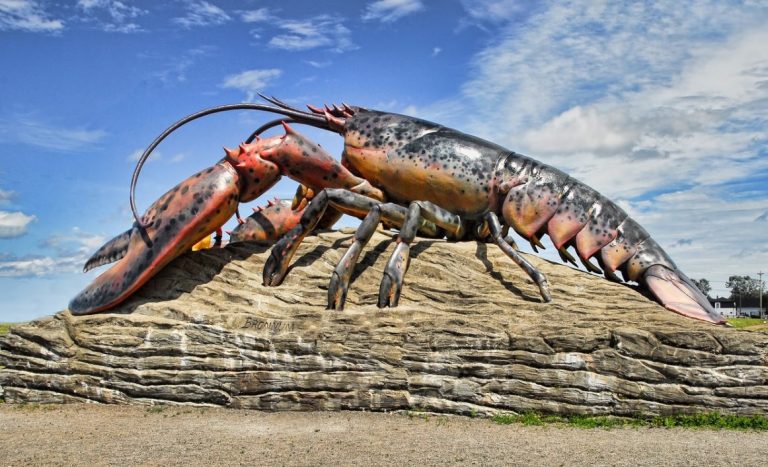 Homard
