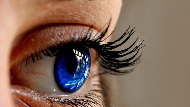 Cils