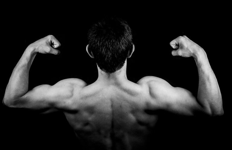 Musculation