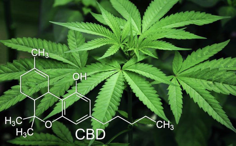 Cannabidiol