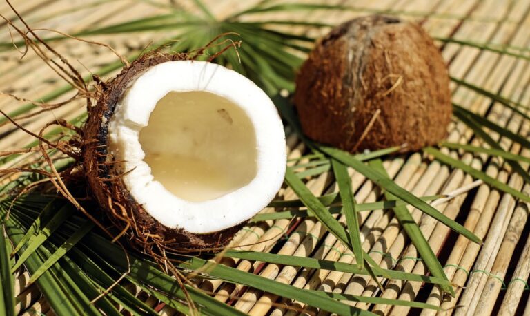 De la noix de coco pour l'huile