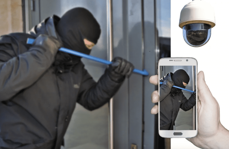 Télésurveillance