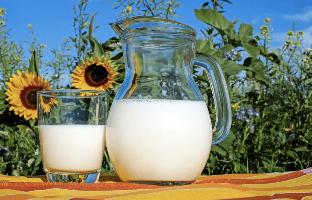 Le lait de vache et le cancer du sein