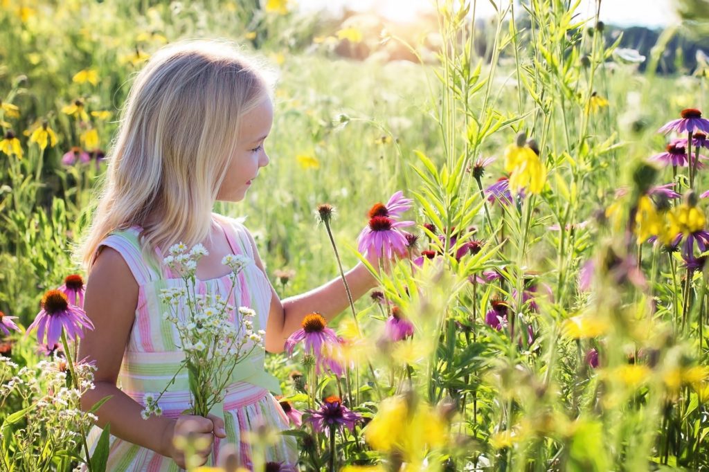 Ajoute des fleurs à ton jardin