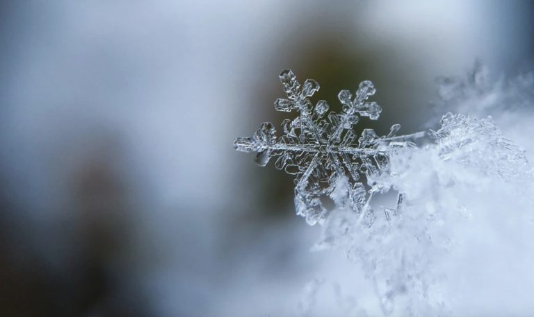 Flocons de neige