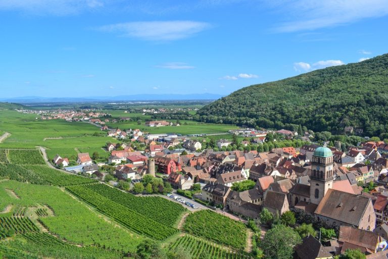 Vignoble alsacien