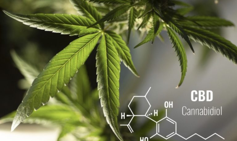 CBD