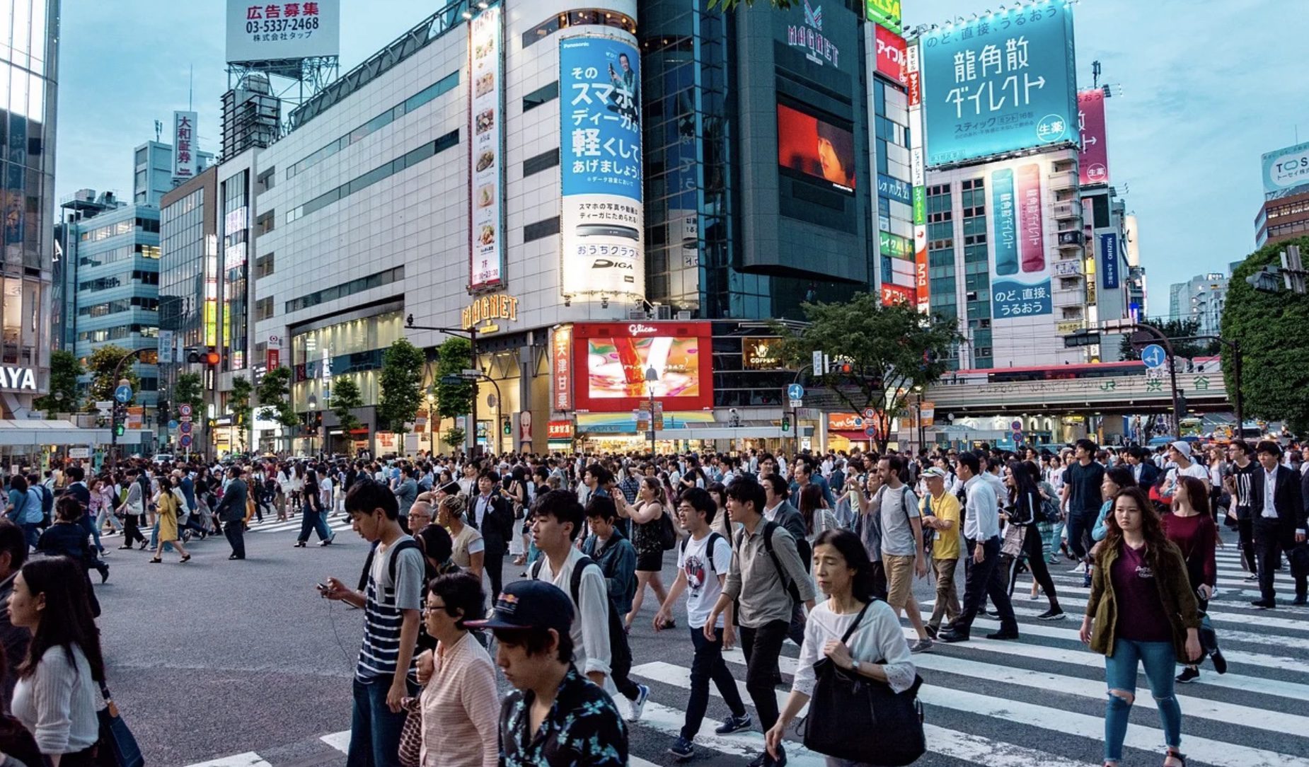 Que voir à Tokyo : que faire pendant mes vacances ?