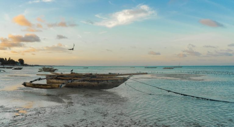 Tanzanie