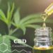 CBD