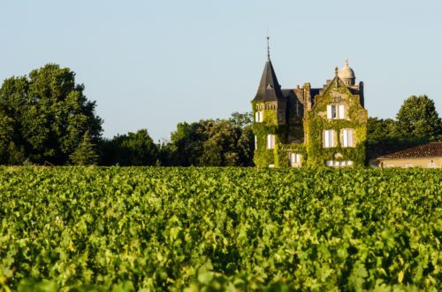 Dégustez du vin dans un château viticole