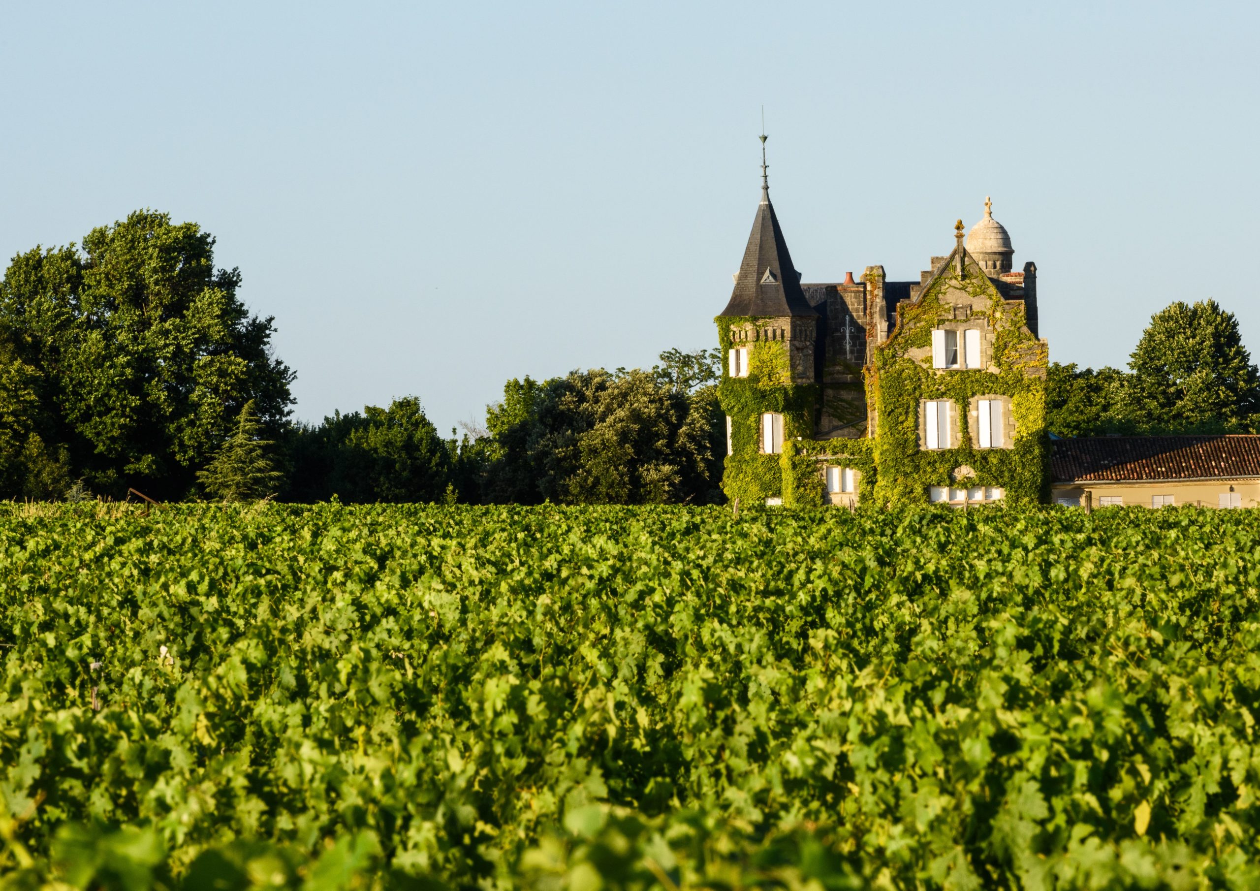 Château viticole du sud-ouest : visite et dégustation