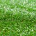 gazon synthetique jardin