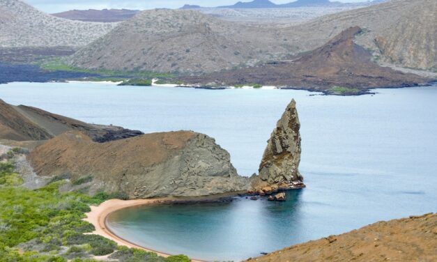 Quelles sont les activités à envisager aux îles Galapagos lors d’un séjour ?