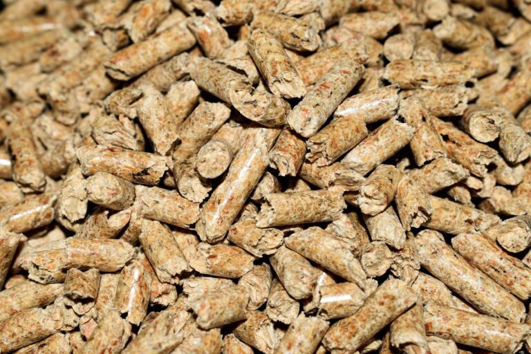 granule de bois