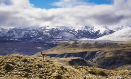 Quels sont les atouts qu’offre un voyage en Patagonie ?