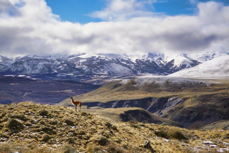 le voyage en Patagonie