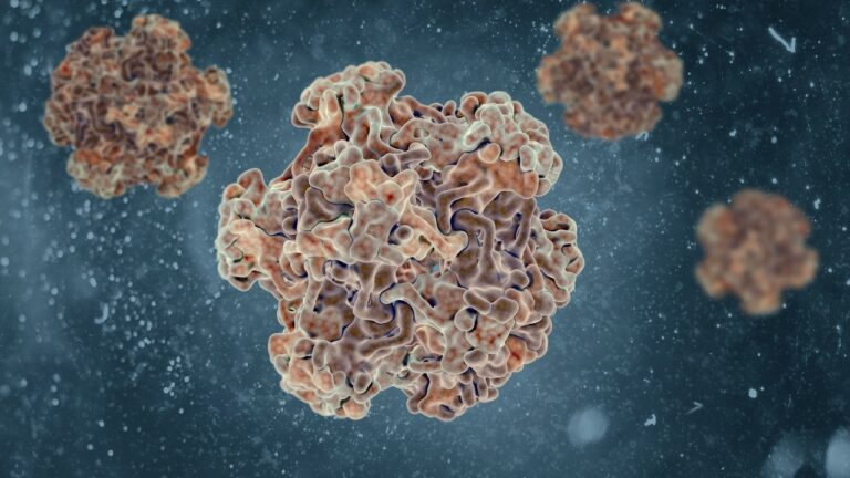 papillomavirus
