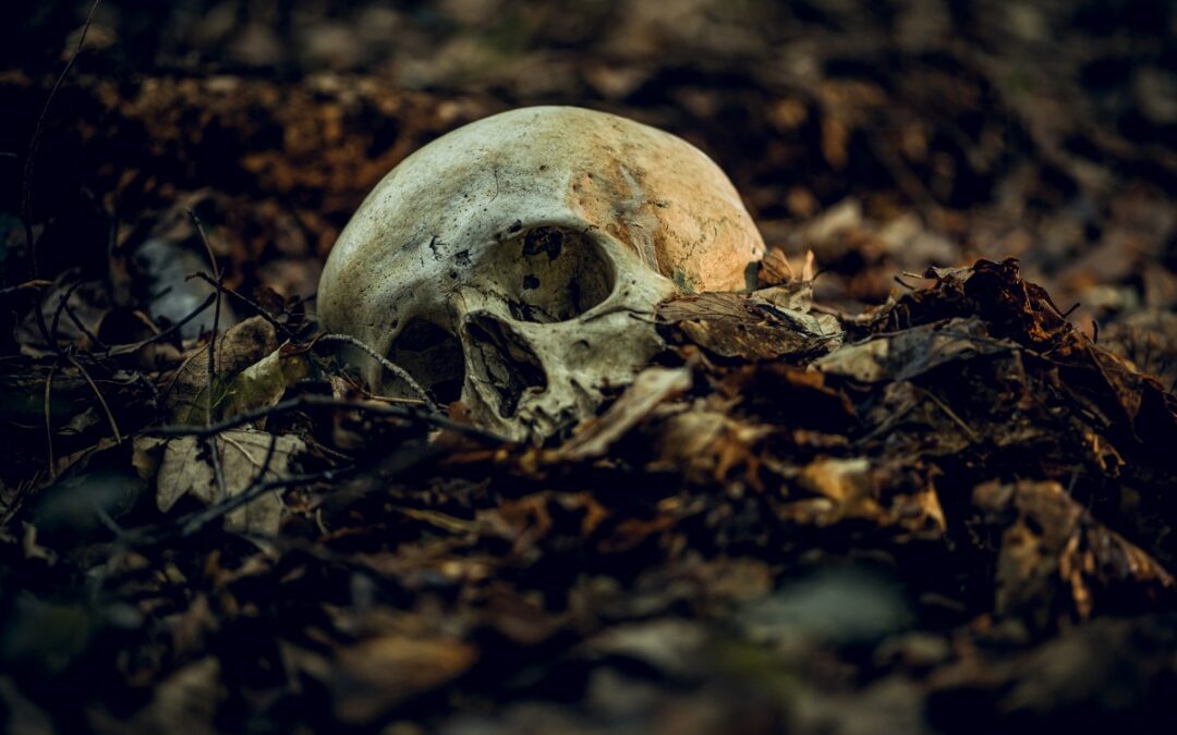 Que faire lors de la découverte d’ossements en forêt ?