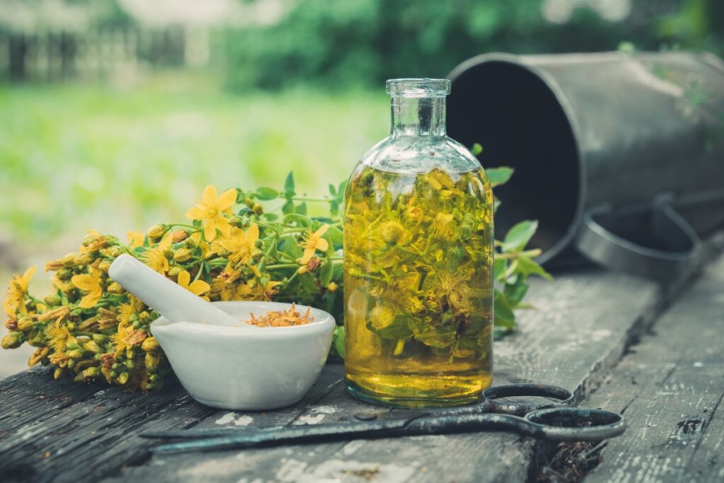 millepertuis couvre sol