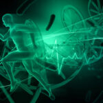 Peptides modernes dans la recherche sportive