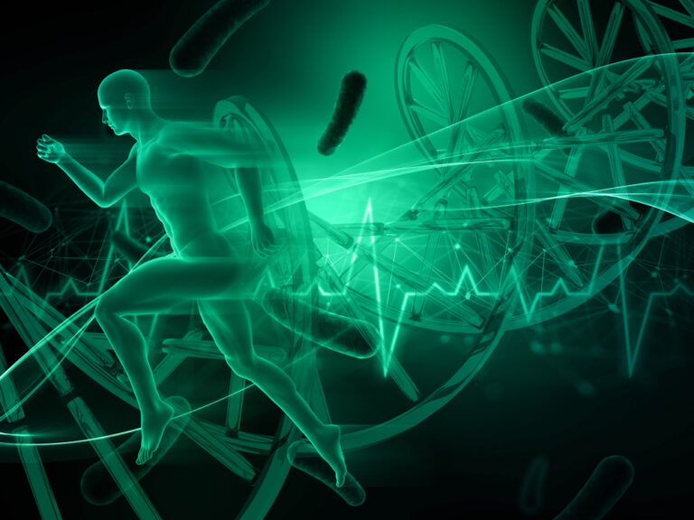 Peptides modernes dans la recherche sportive