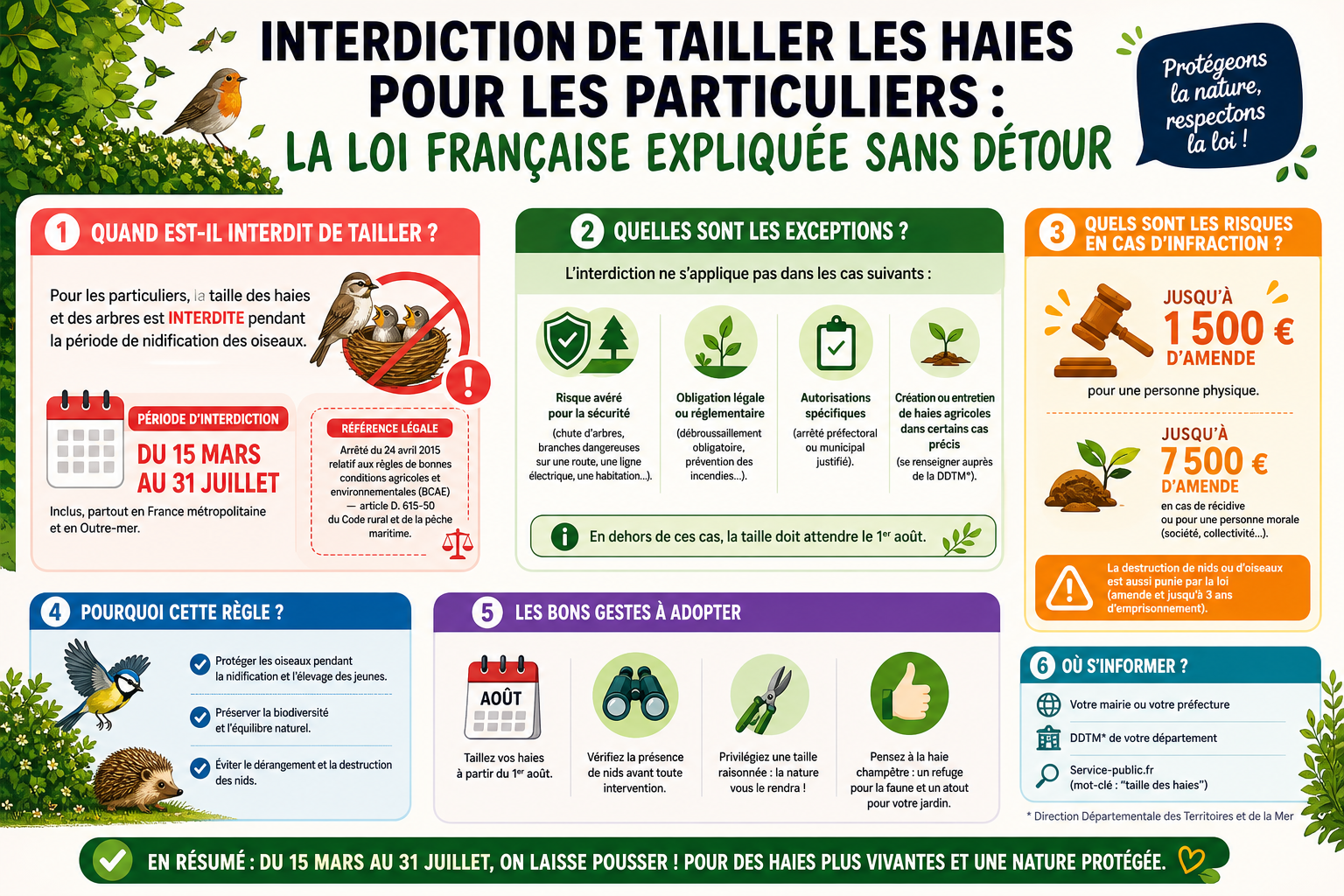 Infographie : Interdiction de tailler les haies pour les particuliers : la loi française expliquée sans détour
