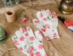 Comment tailler un laurier rose pour qu&rsquo;il fleurisse vraiment bien ?
