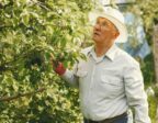 Quand et comment tailler un citronnier pour qu&rsquo;il produise vraiment ?