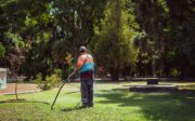 Dosage Roundup pour 5 litres d'eau : la technique pratique pour ne pas se tromper