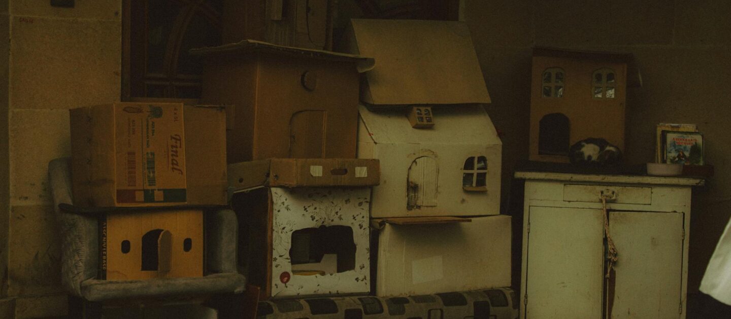 Chat assis près d'une litière propre dans un appartement lumineux