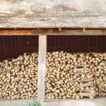 Bûches de bois stockées en cave présentant des filaments de mérule