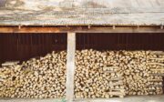 Mérule sur bois de chauffage : reconnaître, évaluer et agir avant que ça se propage