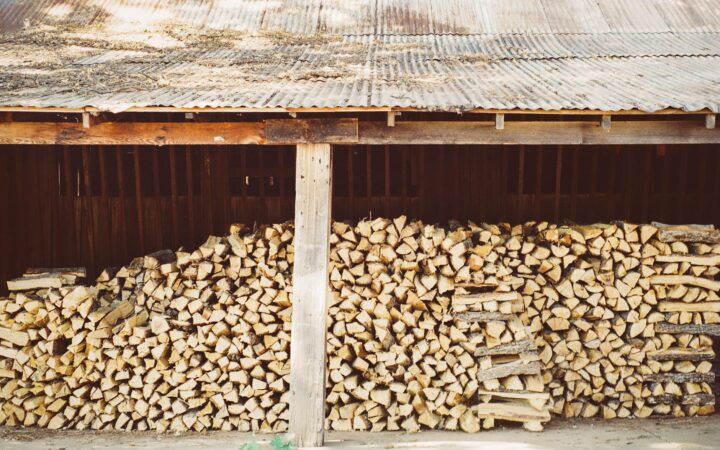 Mérule sur bois de chauffage : reconnaître, évaluer et agir avant que ça se propage