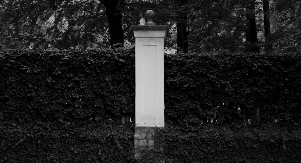 Haie ancienne dense en limite de propriété entre deux jardins mitoyens