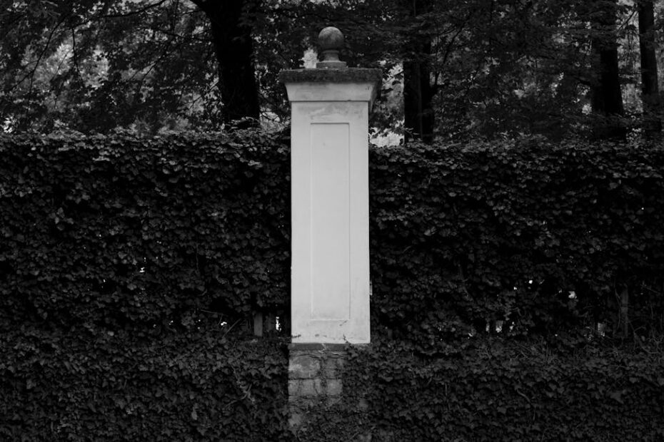 Haie ancienne dense en limite de propriété entre deux jardins mitoyens